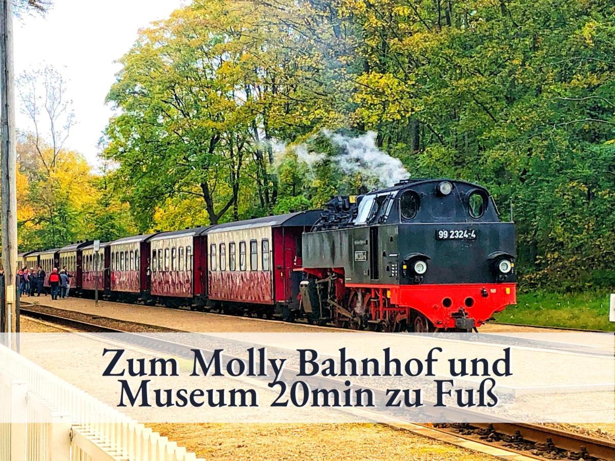 3 Zimmer App Duenengarten Fewo 58 Ostseebad Kühlungsborn Buitenkant foto