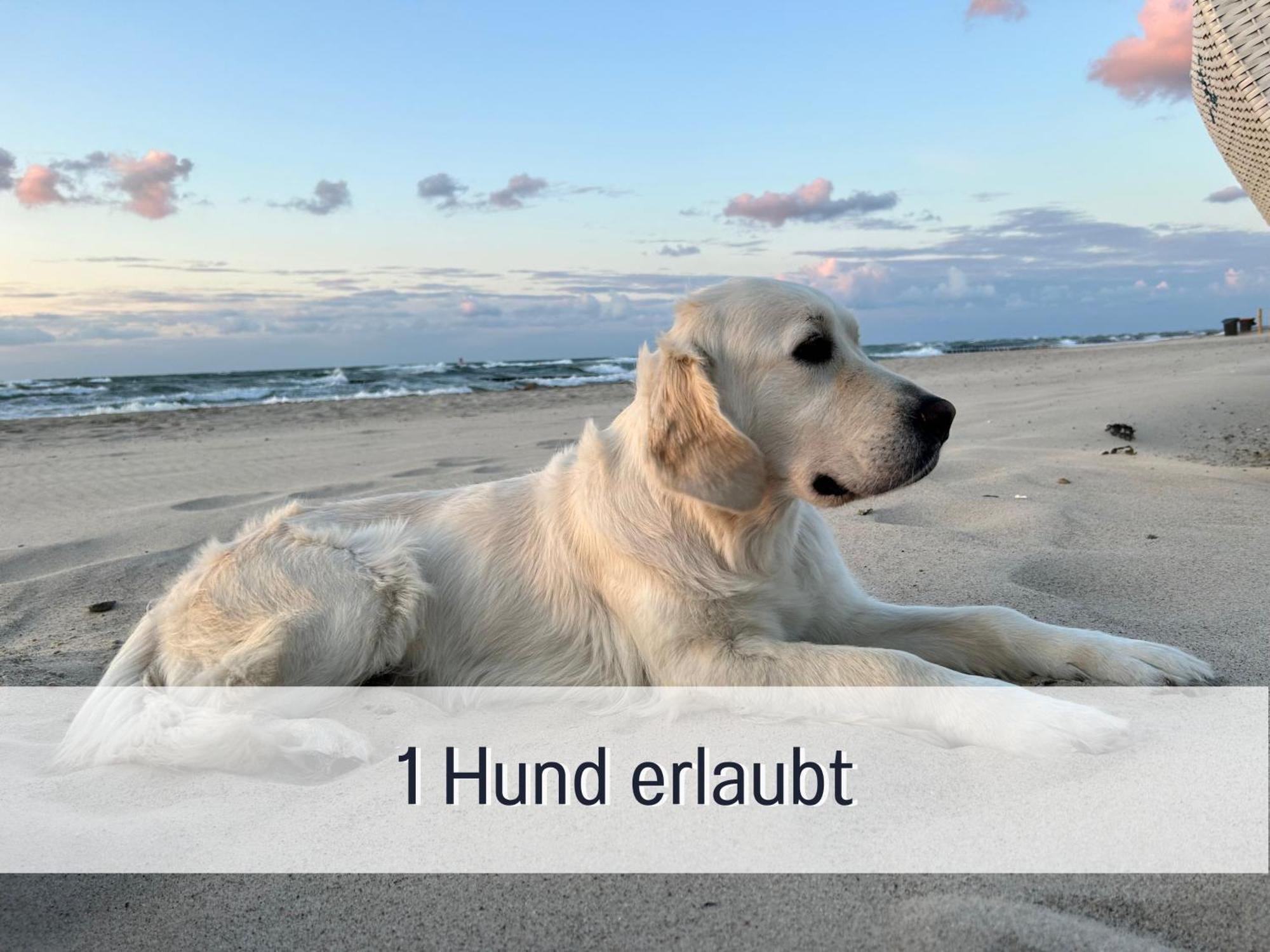 3 Zimmer App Duenengarten Fewo 58 Ostseebad Kühlungsborn Buitenkant foto